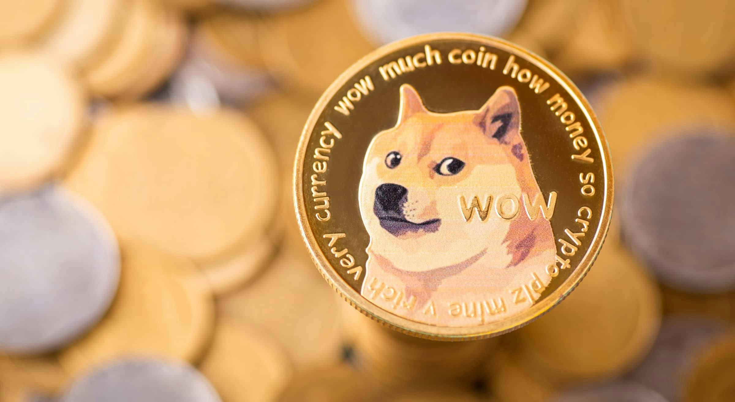 The Dogecoin casino experience: Much wow entertainment